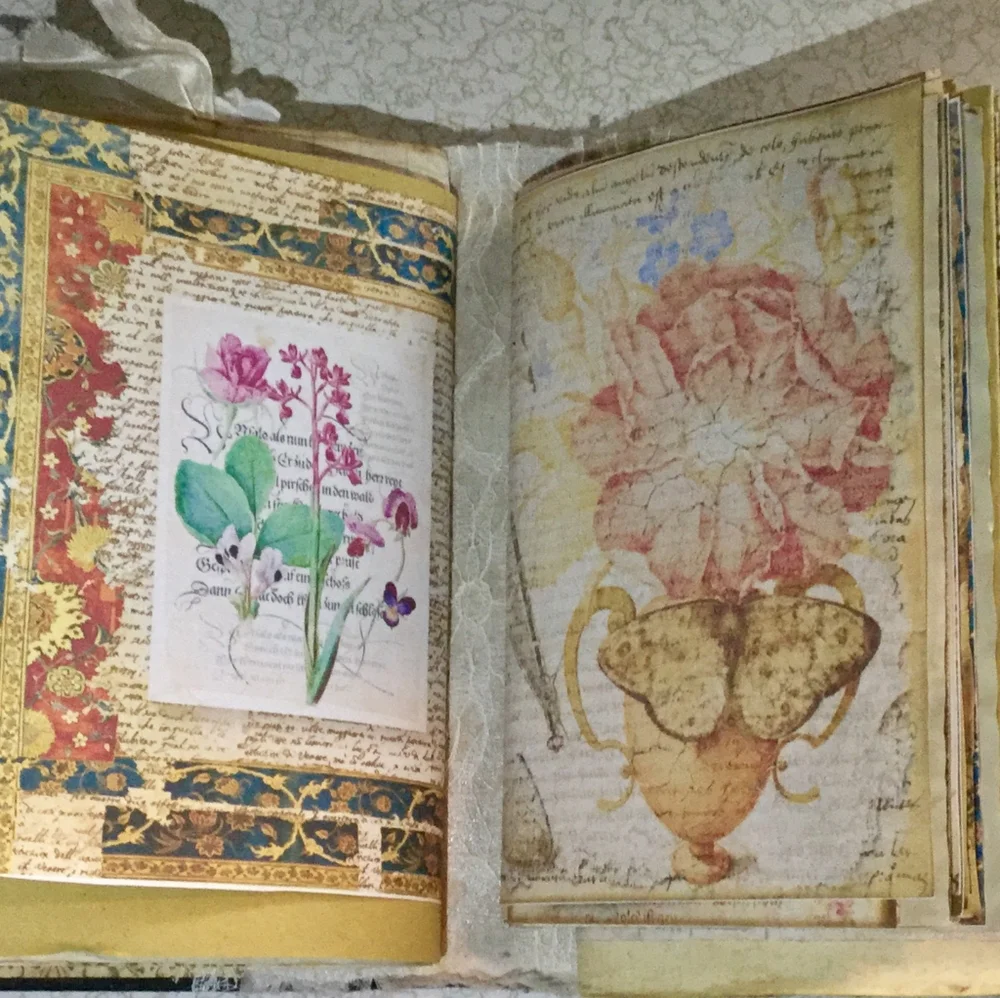 🌺 Distinct Victorian 🌸 Fractsi riella Journal 💮